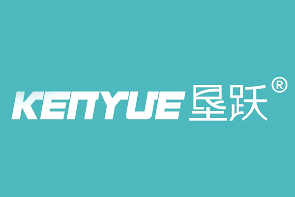 Company 2 Logo